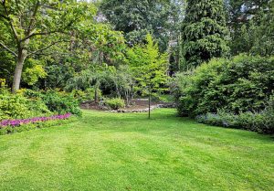 Optimiser l'expérience du jardin à Boeseghem